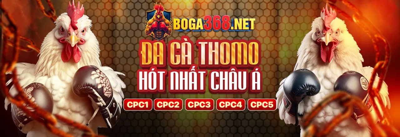Trải nghiệm đá gà trực tiếp chất lượng cao tại Kubet Trang Chủ